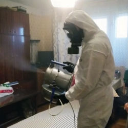 Дезинфекция от клопов в Богородске